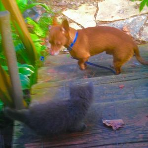 Meet your Posher, Rebecca